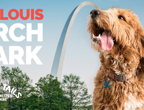 St. Louis Arch Bark October 12, 2019
