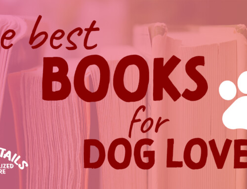 The Best Books for Dog Lovers