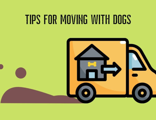 Tips for Moving with Dogs