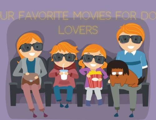 Our Favorite Movies for Dog Lovers
