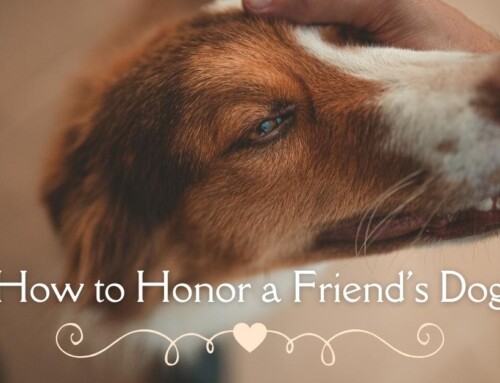 How to Honor a Friend’s Dog That’s Passed