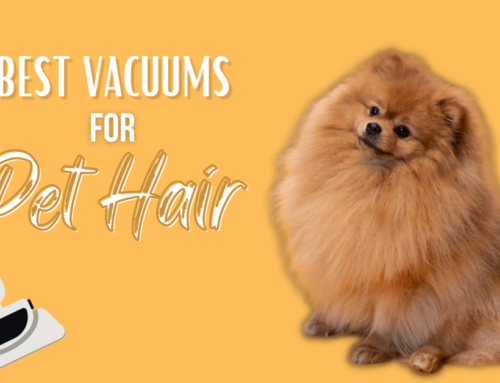 Best Vacuums for Pet Hair