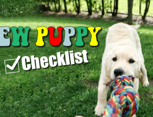 New Puppy Checklist