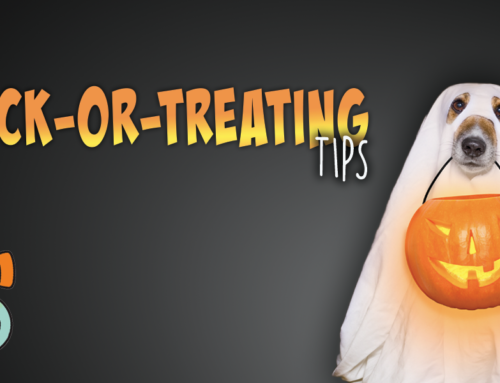 Tips for Taking Your Dog Trick-Or-Treating