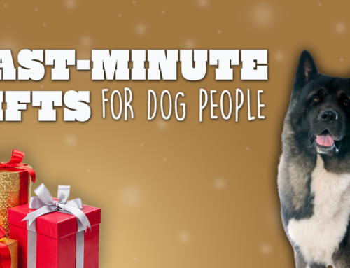 Last Minute Gifts for Dog People